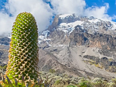 6-Day Lemosho Route Kilimanjaro