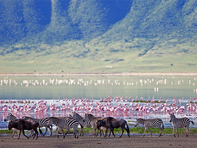 4 Days Serengeti, Ngorongoro & Lake Manyara Safari