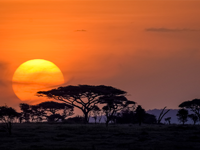 6 Days Serengeti, Ngorongoro, Tarangire & Lake Manyara Safari